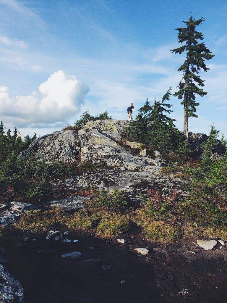 jana meerman thunderbird ridge