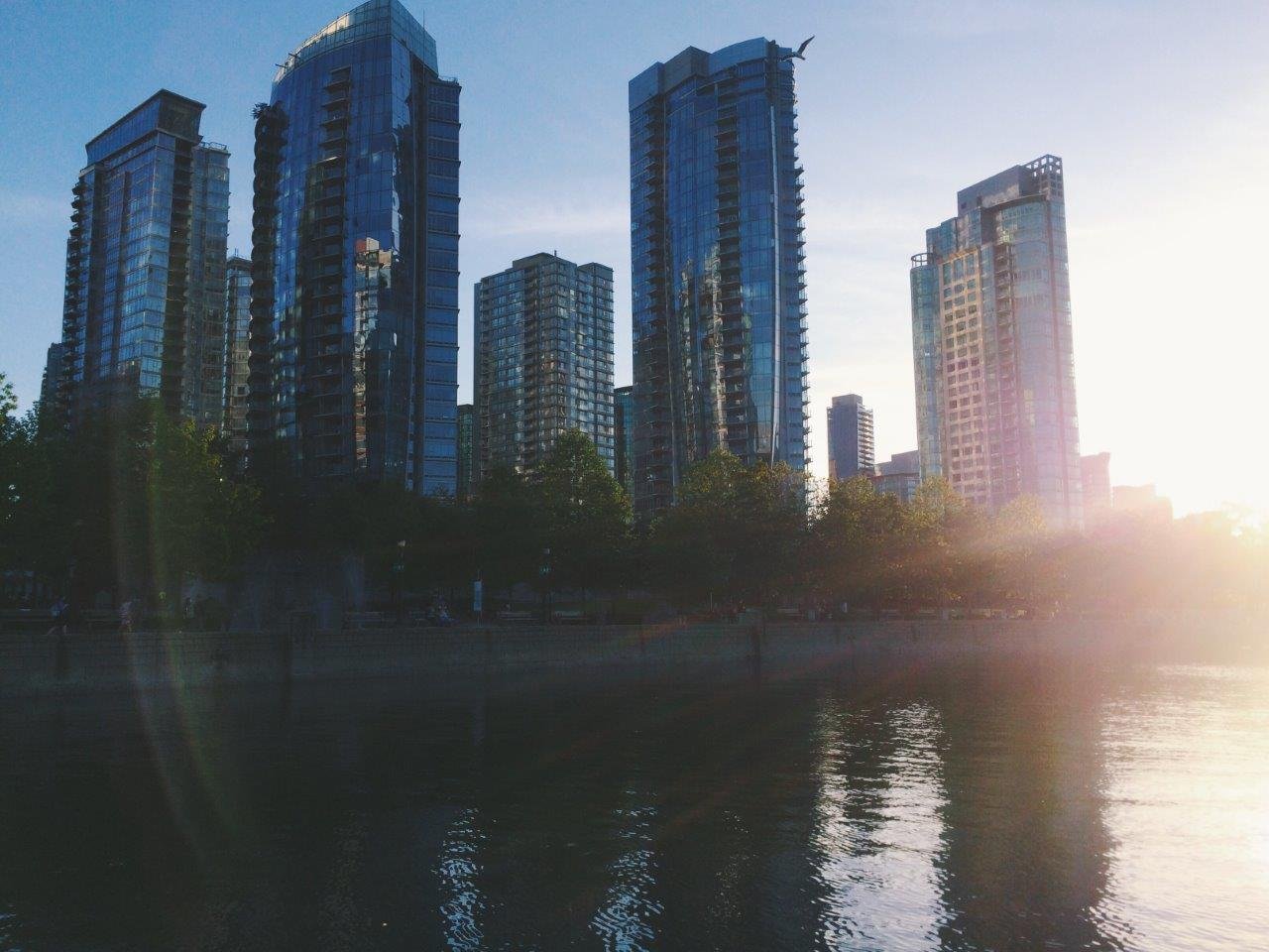 jana meerman coal harbour