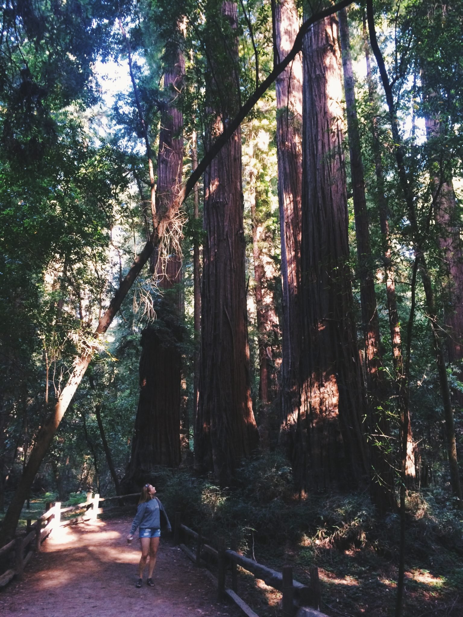 jana meerman california highway 1 roadtrip