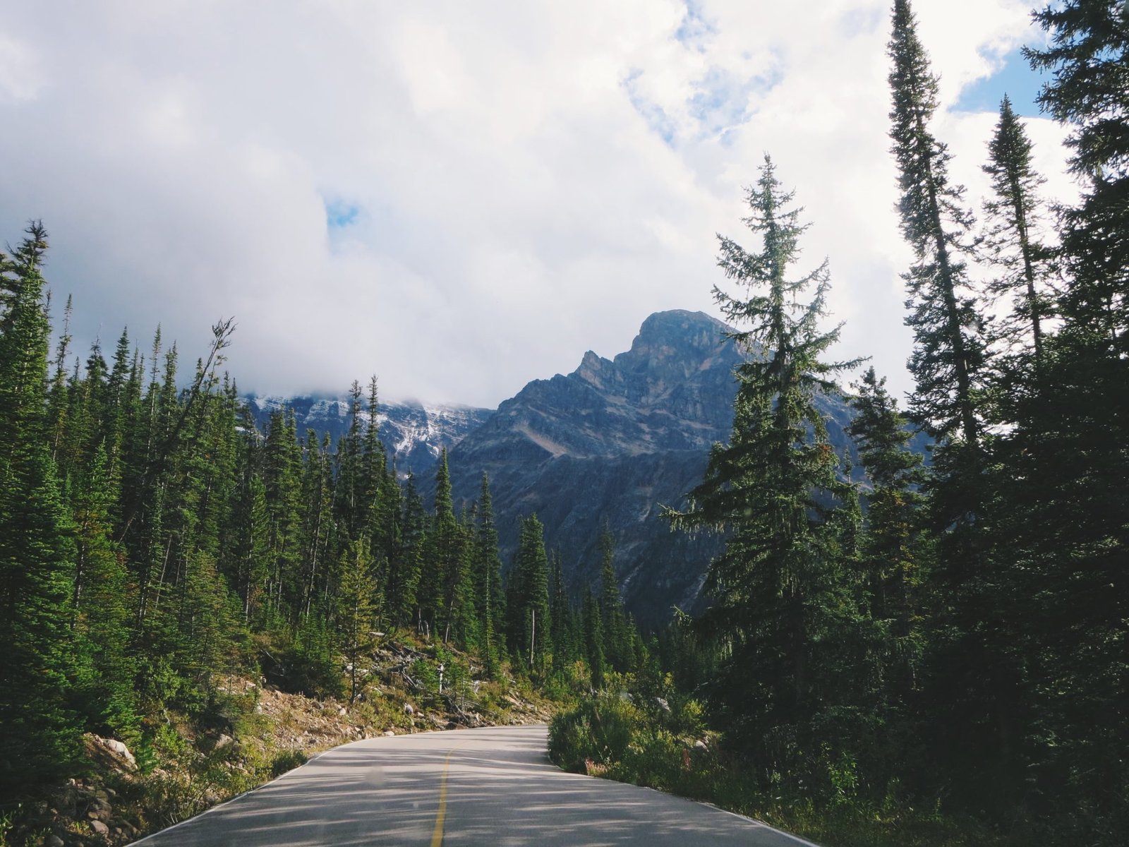 jana meerman mount edith cavell