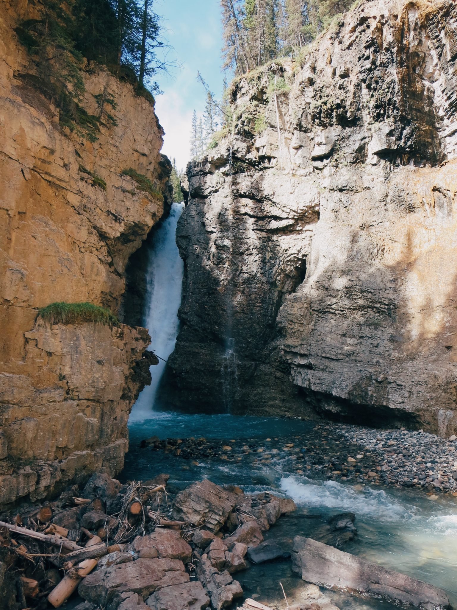 jana meerman johnston canyon