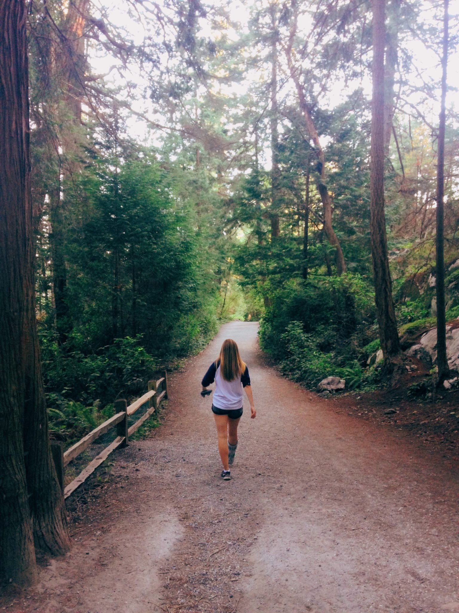 jana meerman lighthouse park