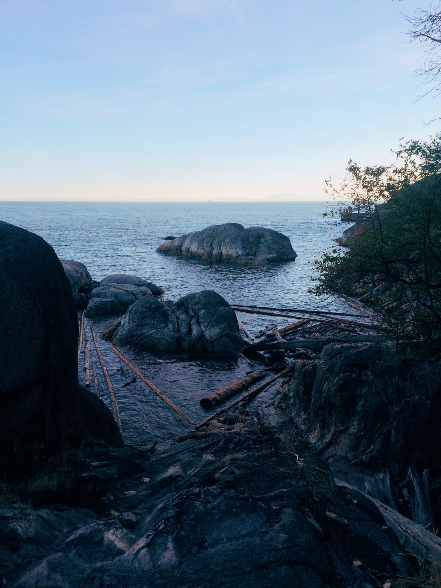 jana meerman lighthouse park