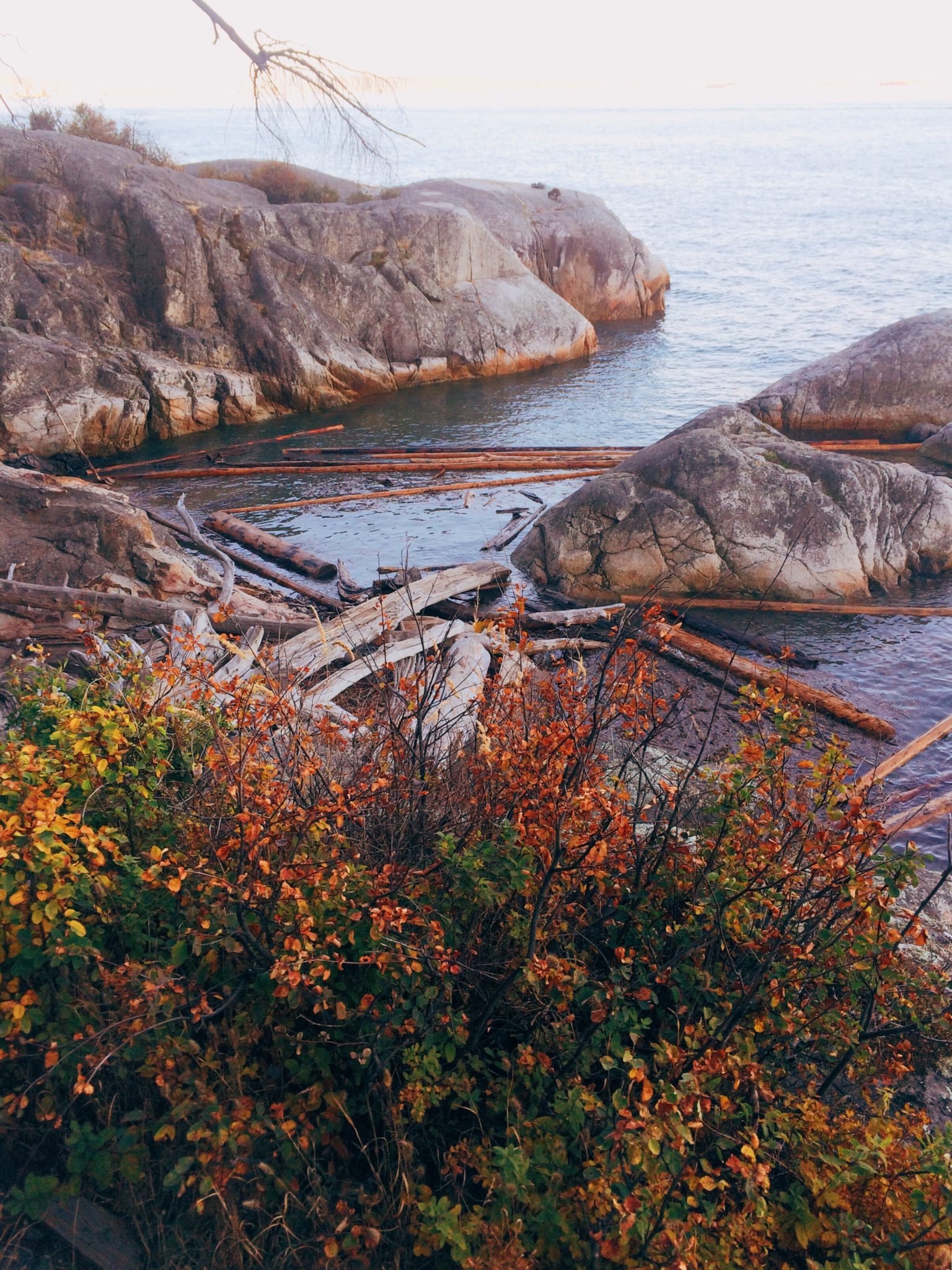 jana meerman lighthouse park