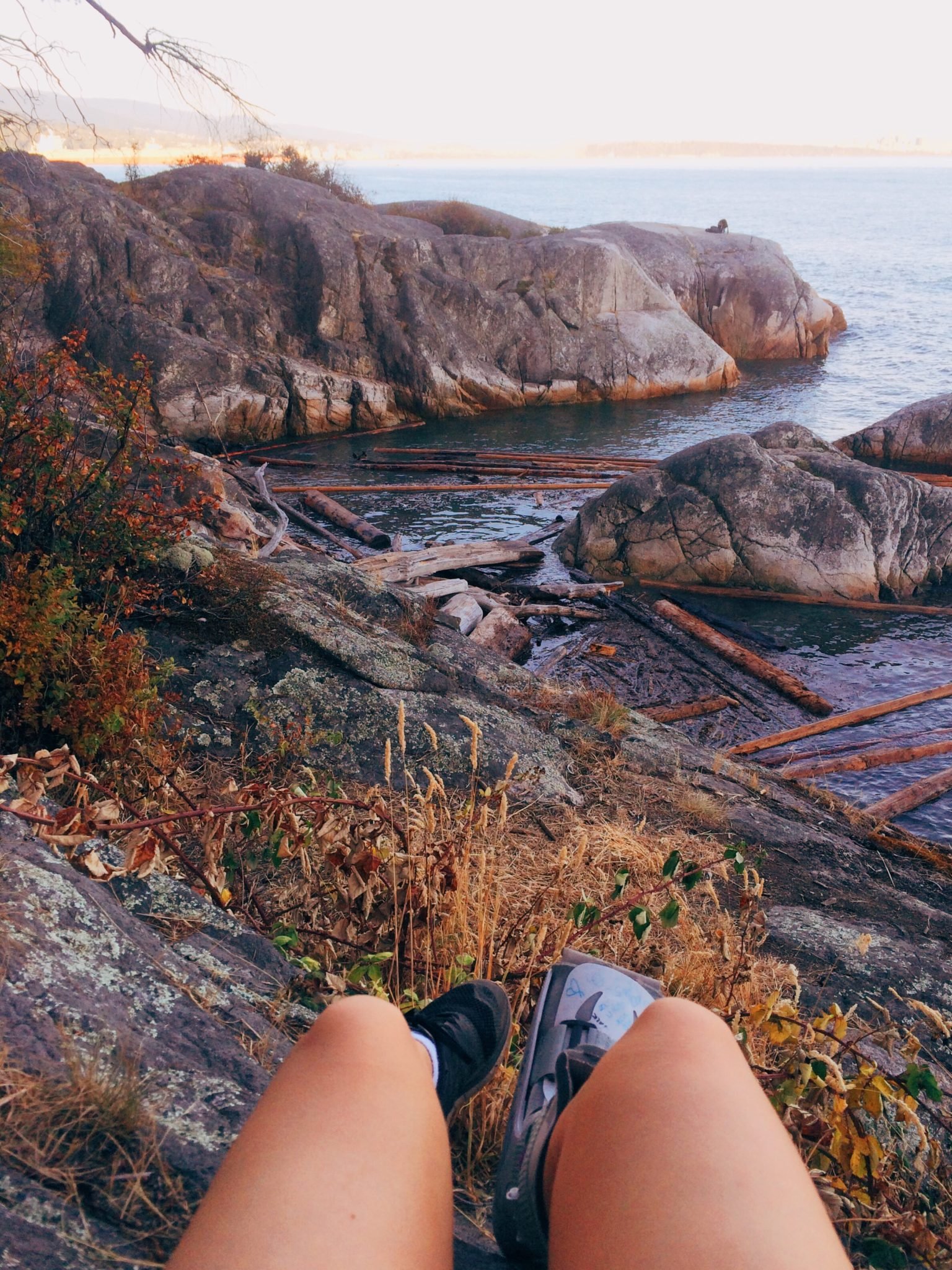 jana meerman lighthouse park