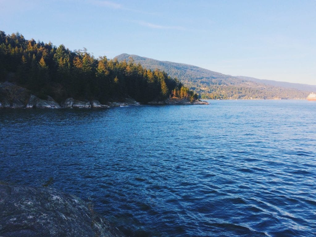 jana meerman lighthouse park