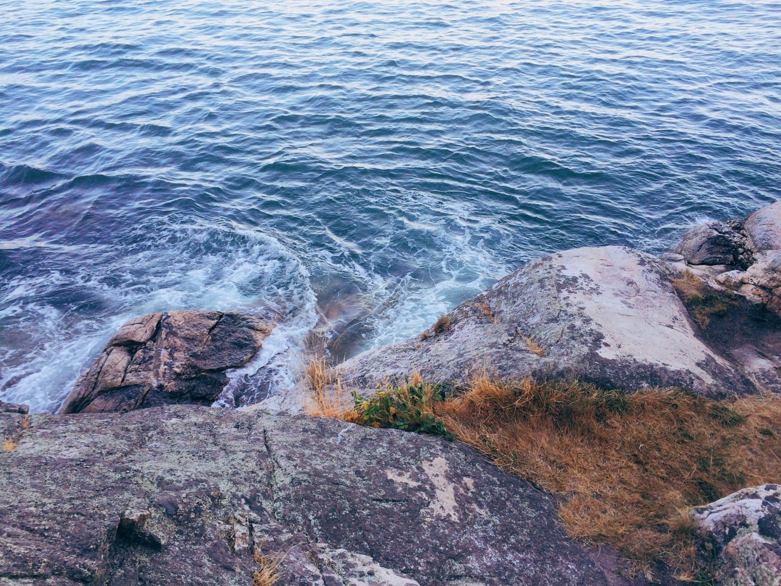 jana meerman lighthouse park