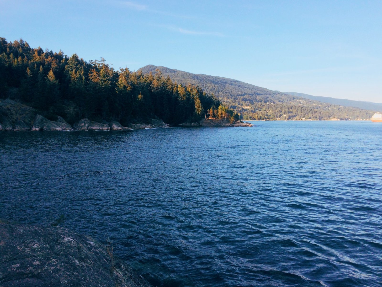 jana meerman lighthouse park