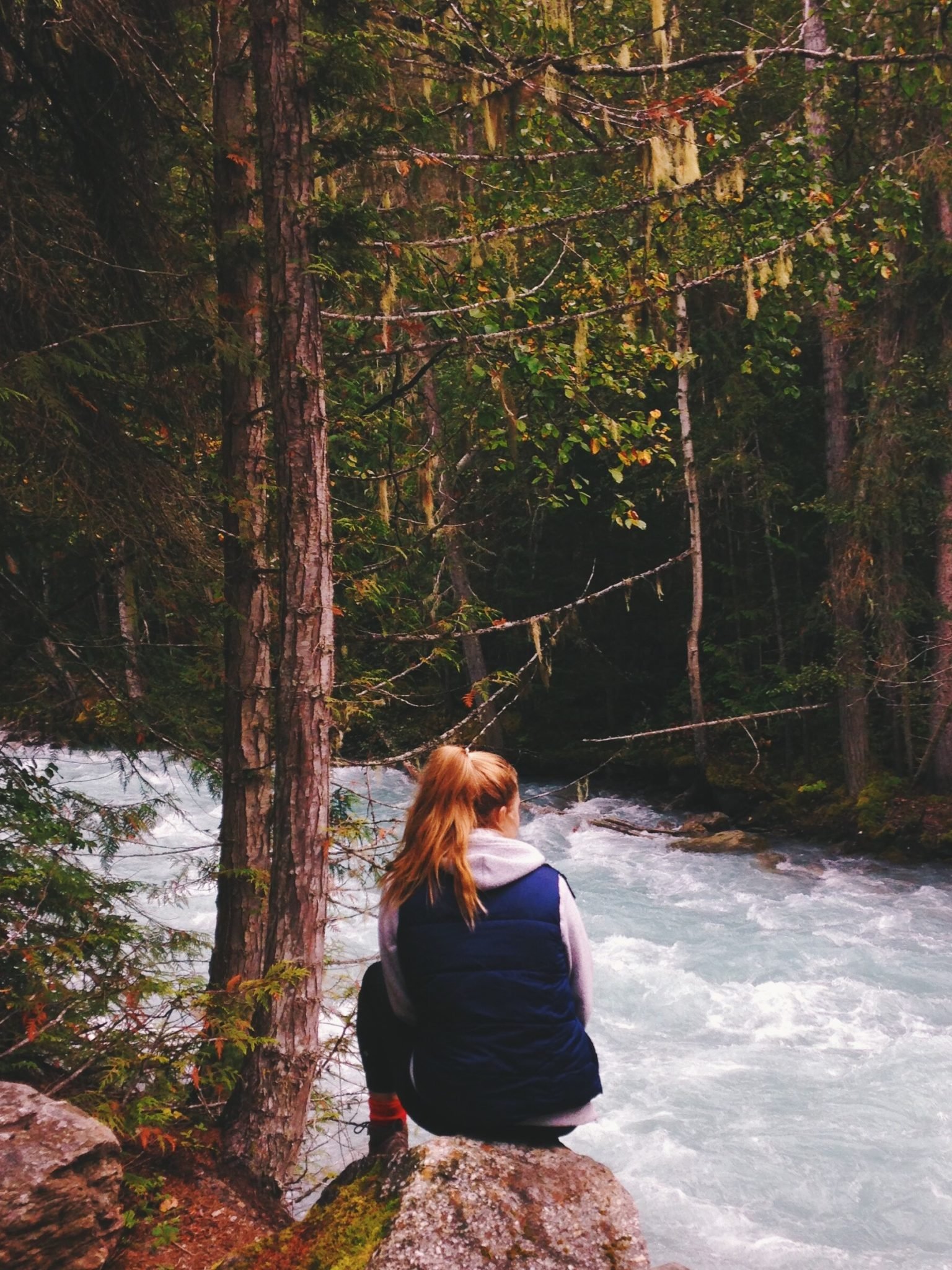 jana meerman jasper national park