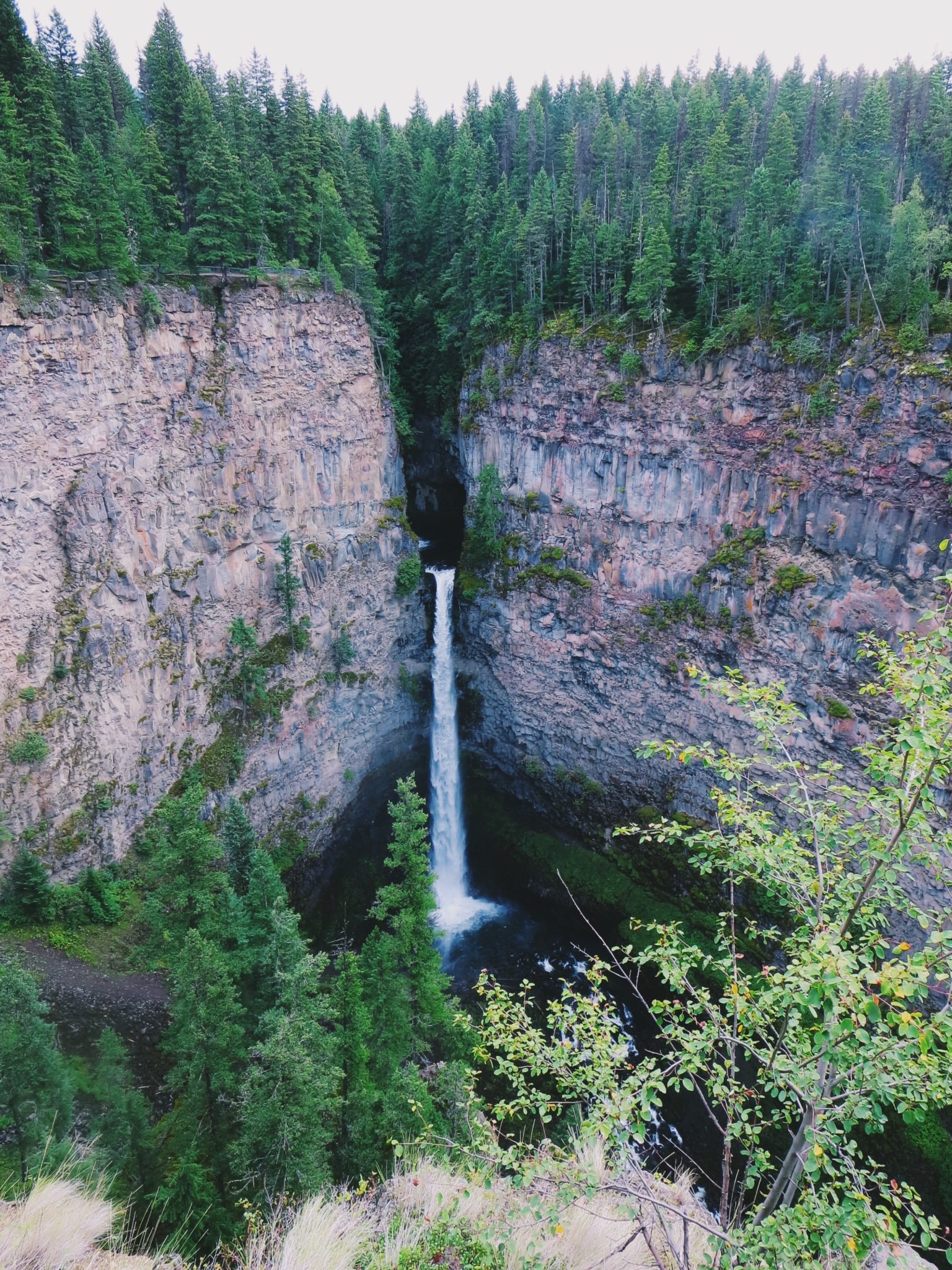 jana meerman wells gray provincial park