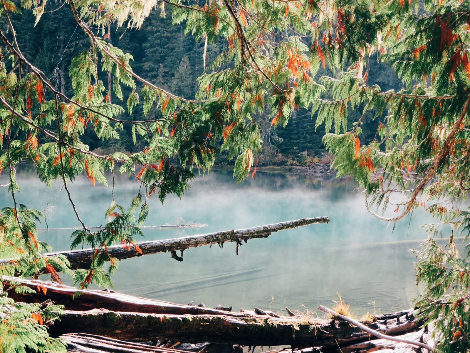 jana meerman cheakamus lake