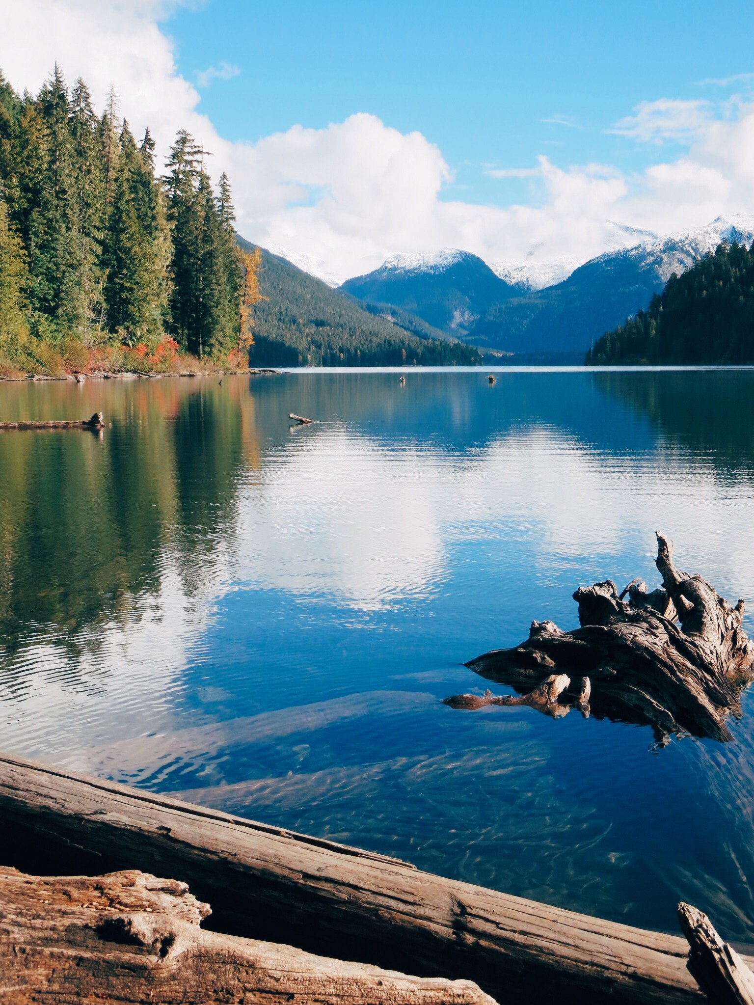 jana meerman cheakamus lake