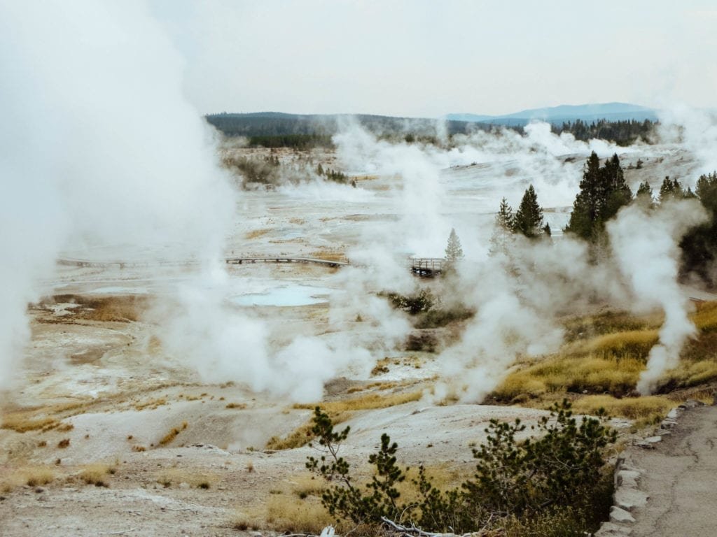 jana meerman yellowstone national park-25