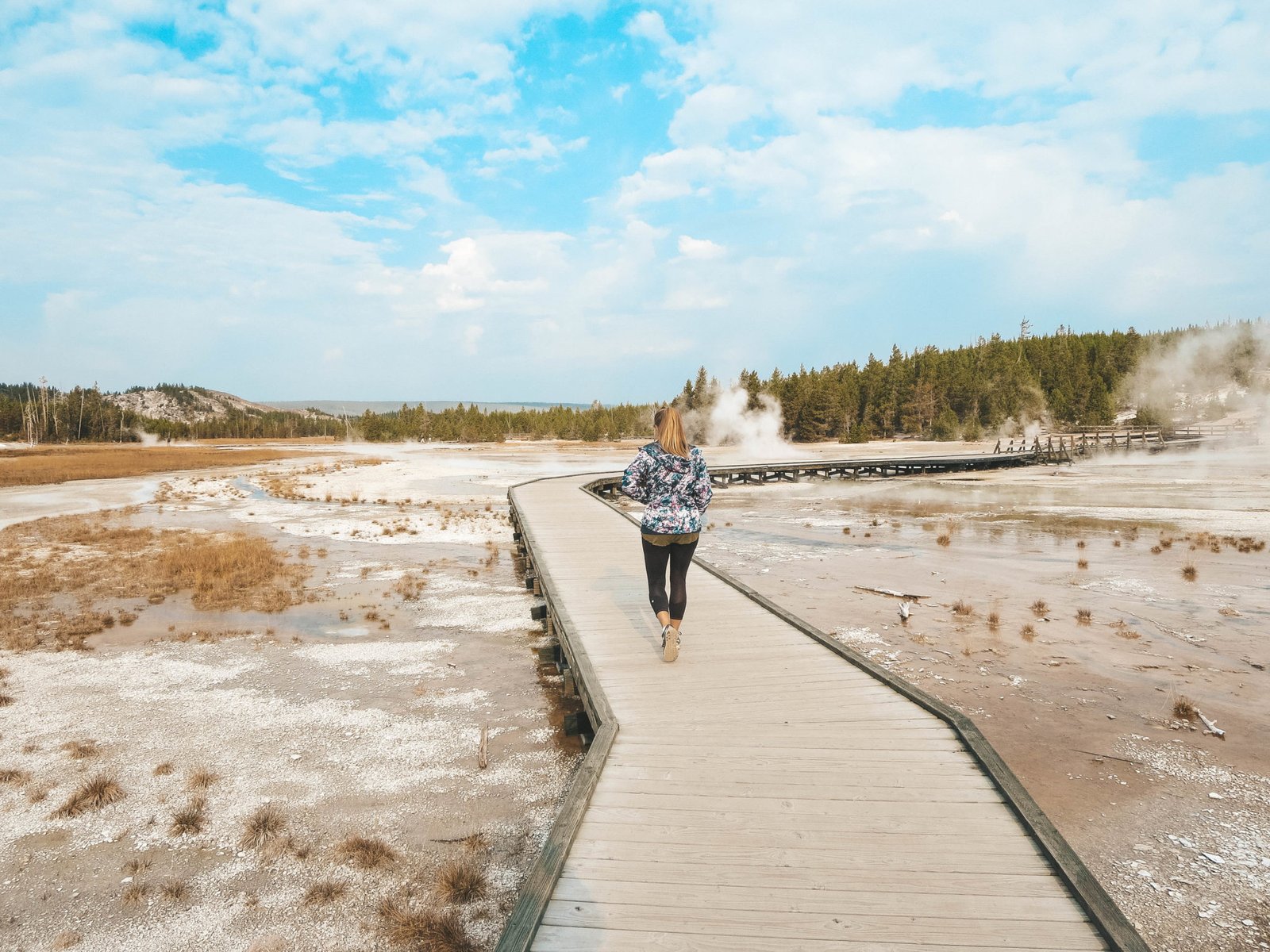 jana meerman yellowstone national park-25