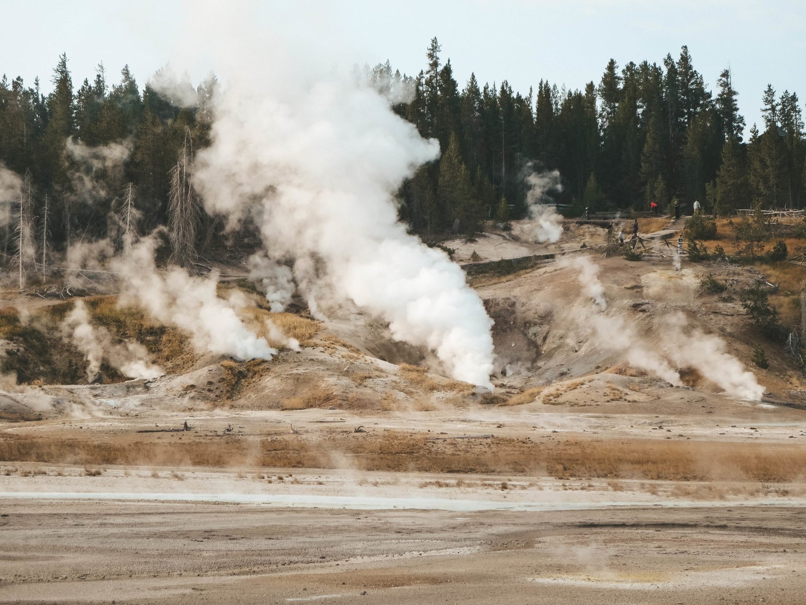 jana meerman yellowstone national park-25