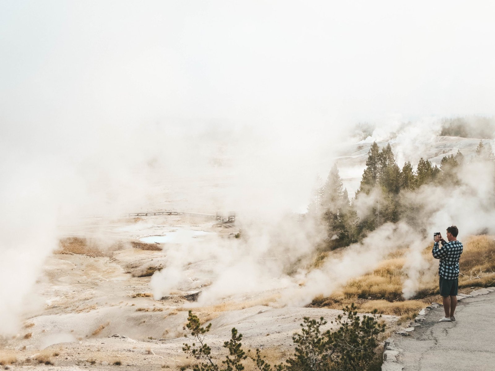 jana meerman yellowstone national park-25