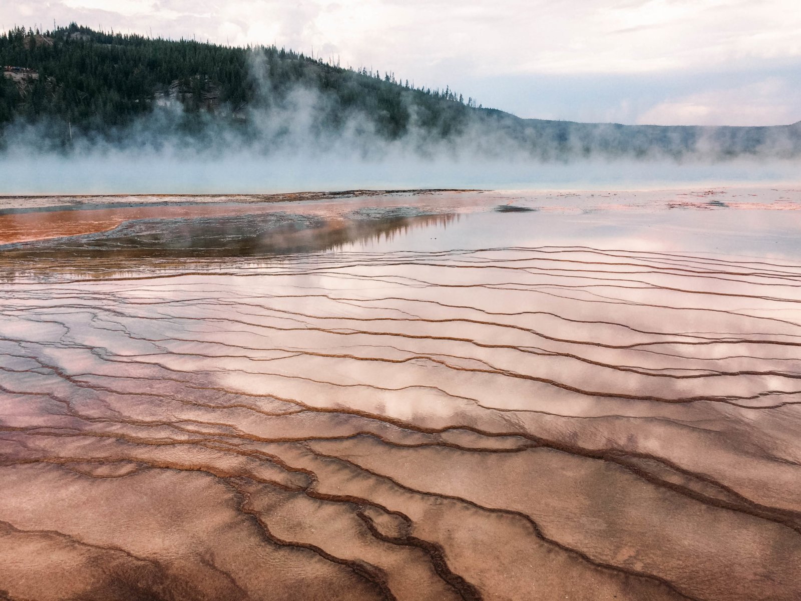 jana meerman yellowstone national park-36