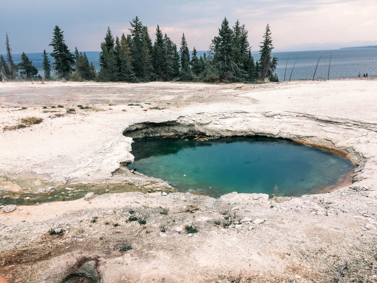 jana meerman yellowstone national park-45