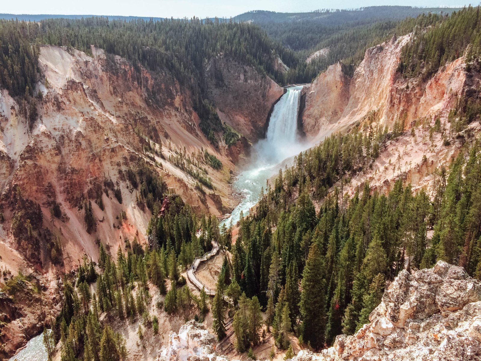 jana meerman yellowstone national park-50