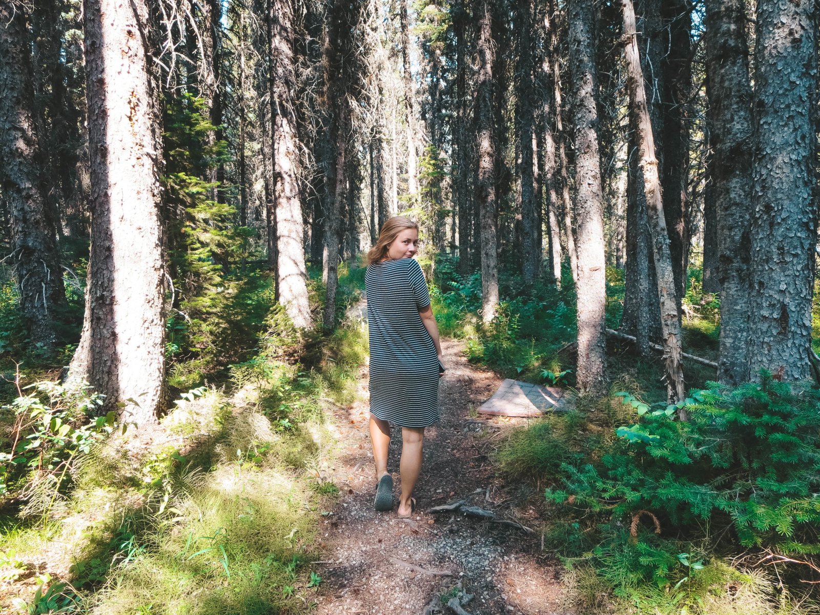 jana meerman waterton lakes national park-15