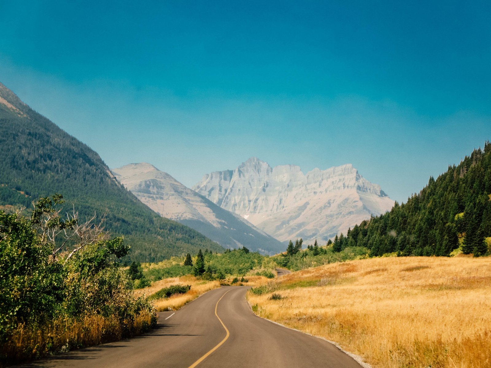 jana meerman waterton lakes national park-4