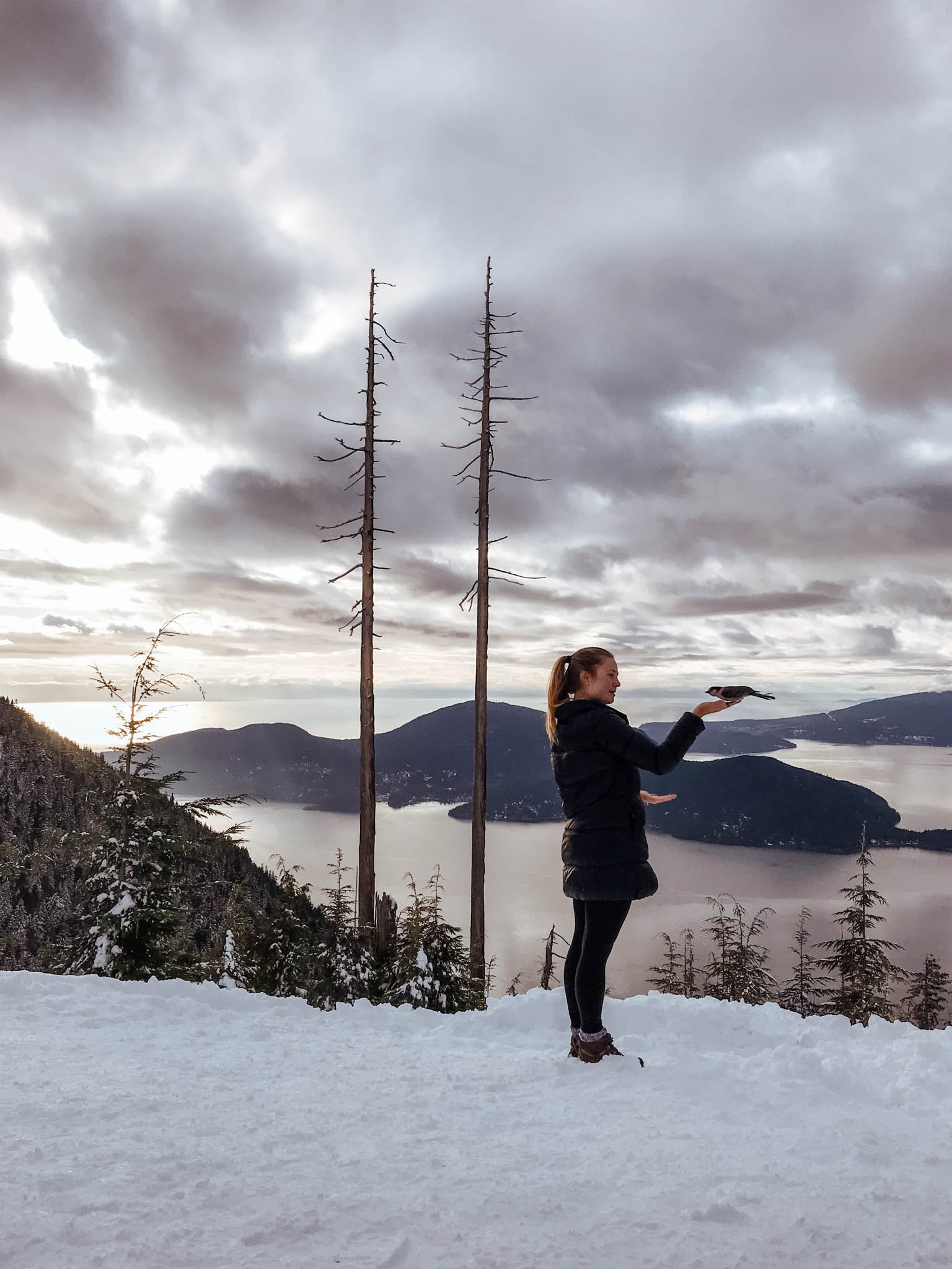 jana meerman bowen lookout hike-10