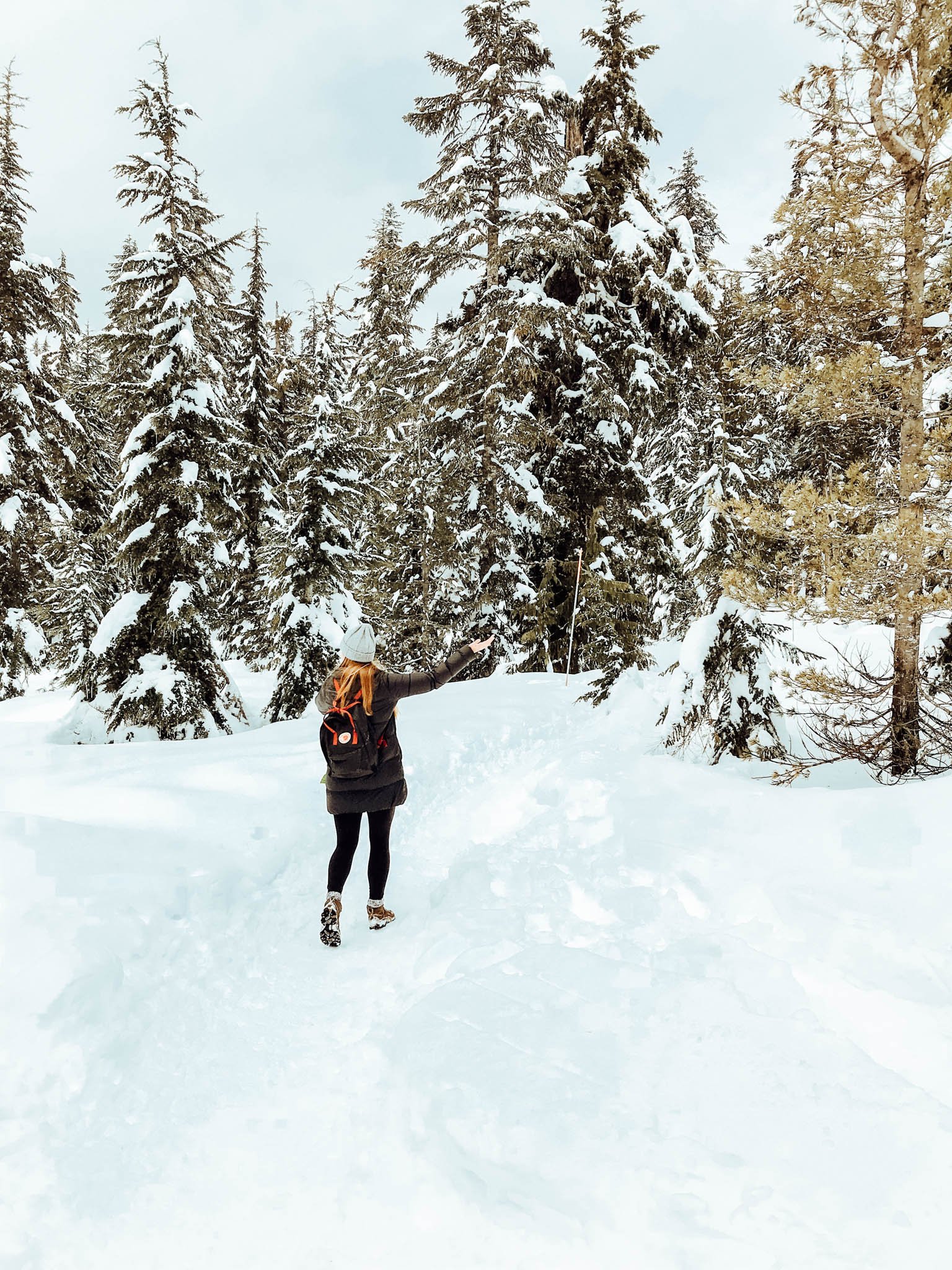 Hiking Bowen Lookout in Vancouver, BC | Jana Meerman