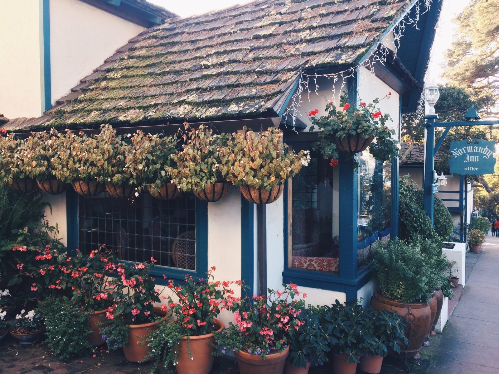 Winter Travel Guide CarmelbytheSea, California, USA Jana Meerman