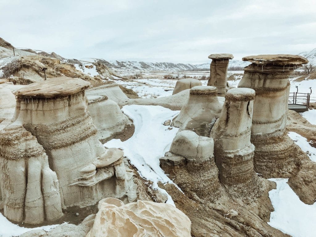 jana meerman drumheller alberta-12