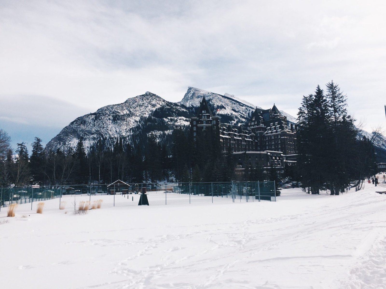 jana meerman banff alberta