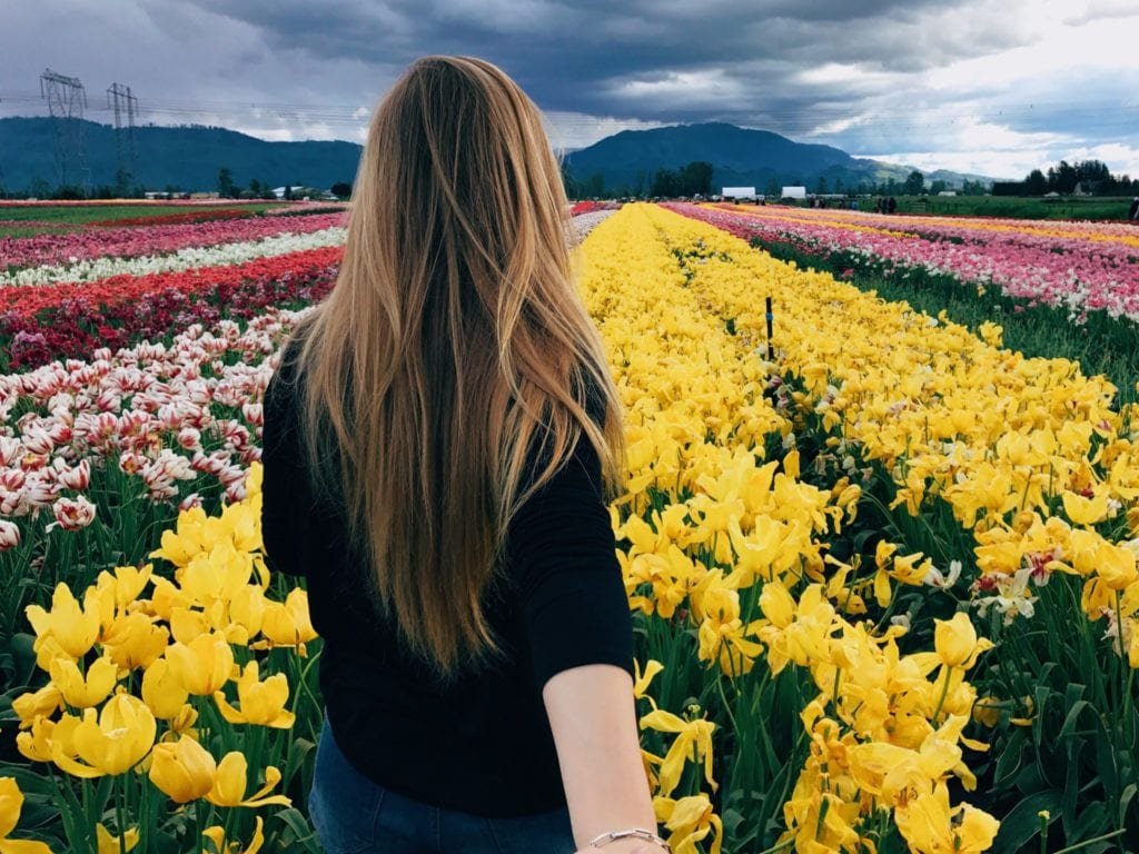 jana meerman abbotsford tulip festival