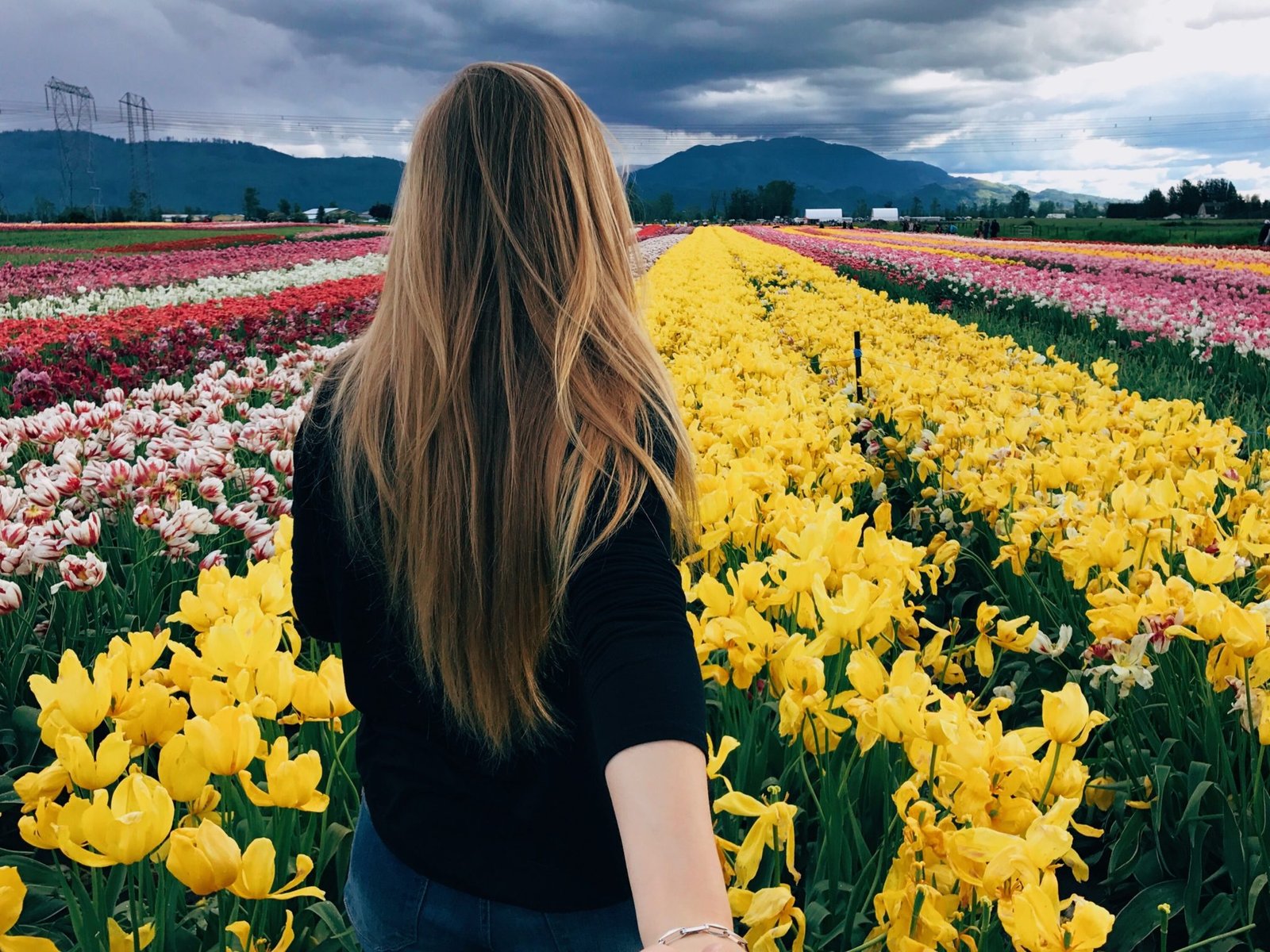 Visiting the Abbotsford Tulip Festival in Vancouver, BC Jana Meerman