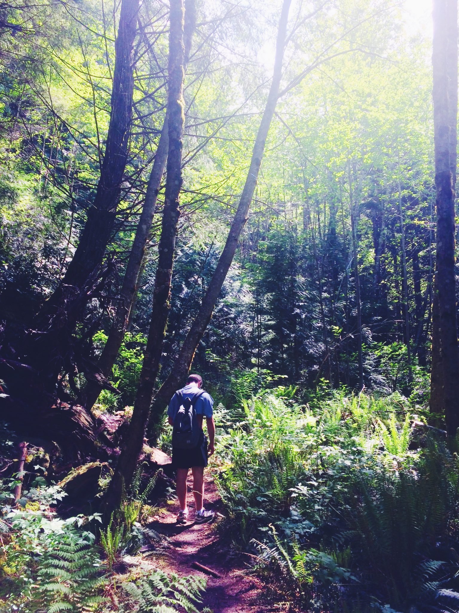 jana meerman tunnel bluffs hike