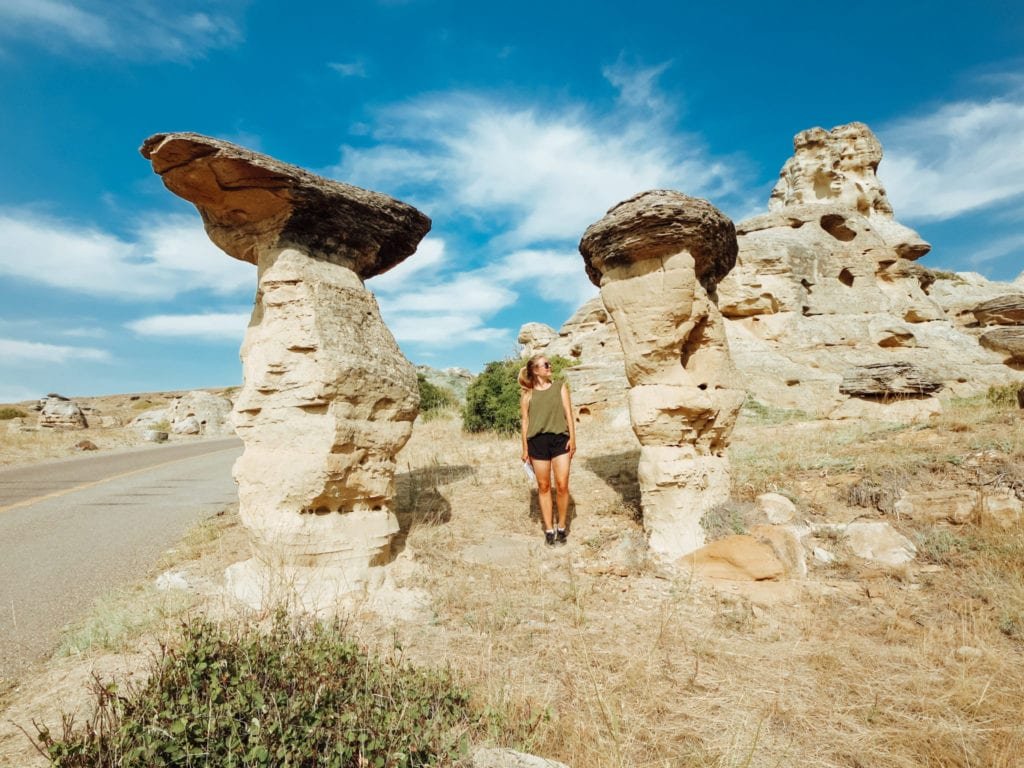 A Guide To Writing On Stone Provincial Park Alberta Jana Meerman   Jana Meerman Writing On Stone Provincial Park 33 1024x768 