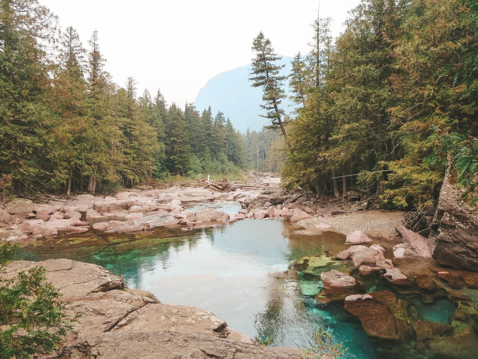 jana meerman glacier national park-12