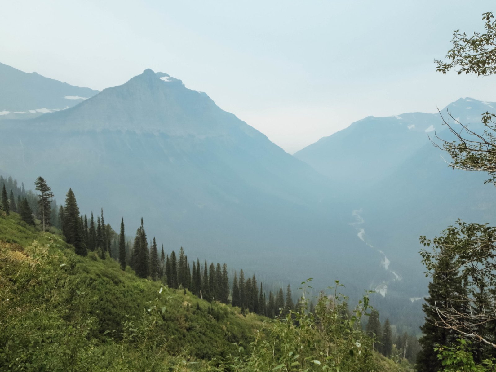 jana meerman glacier national park-12