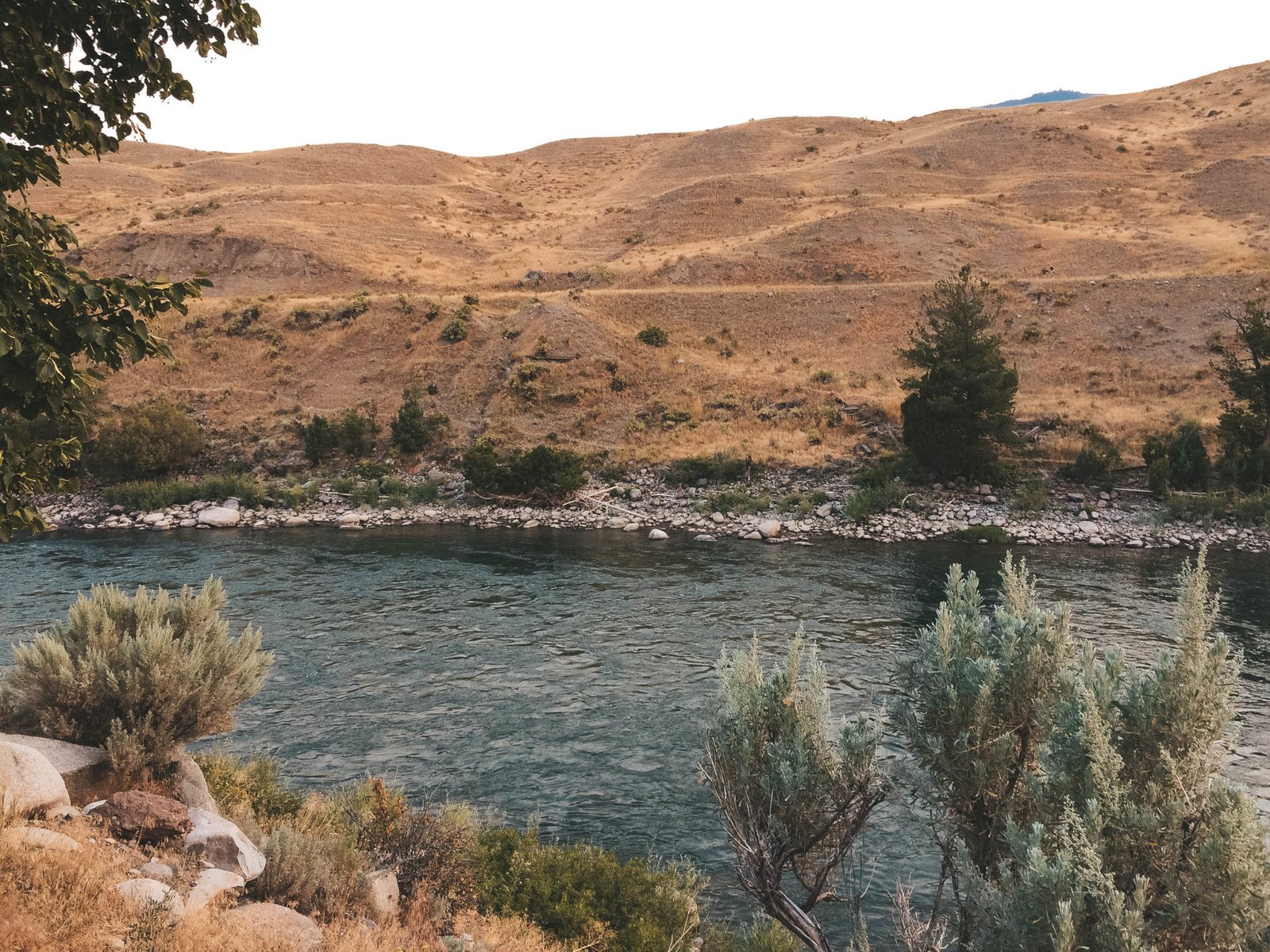 jana meerman yellowstone national park-1