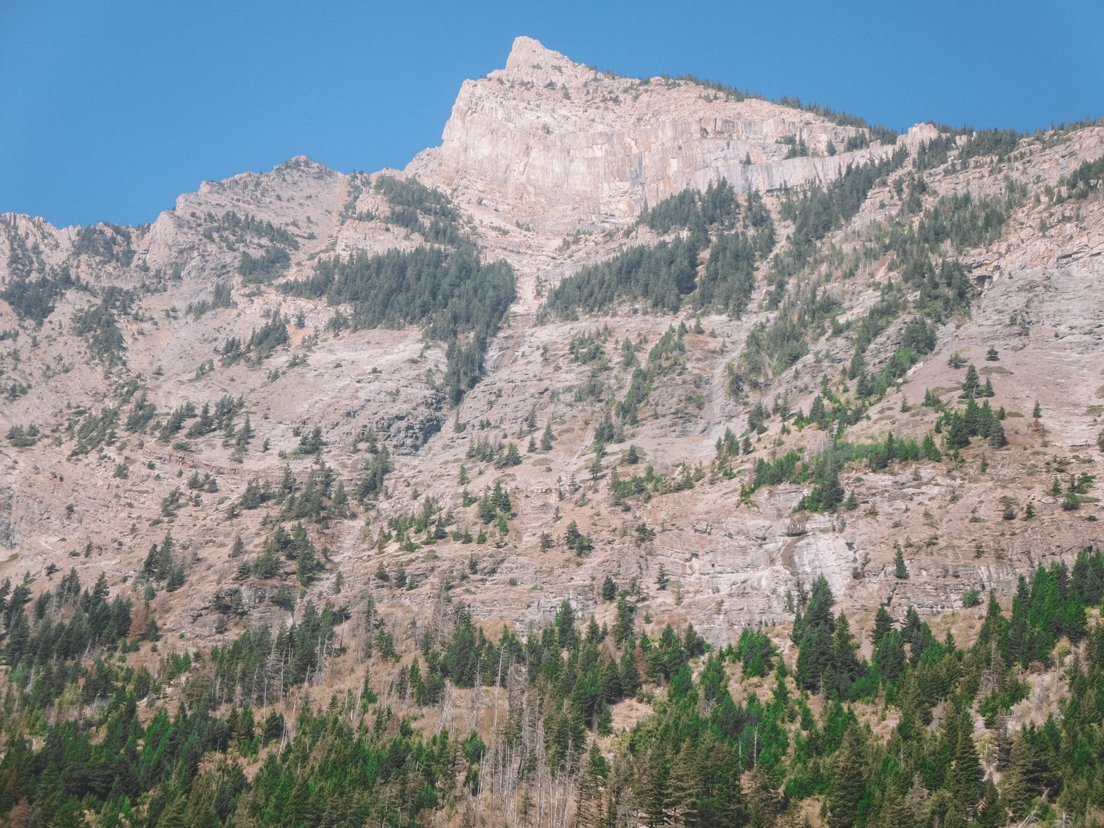 jana meerman waterton lakes national park-1