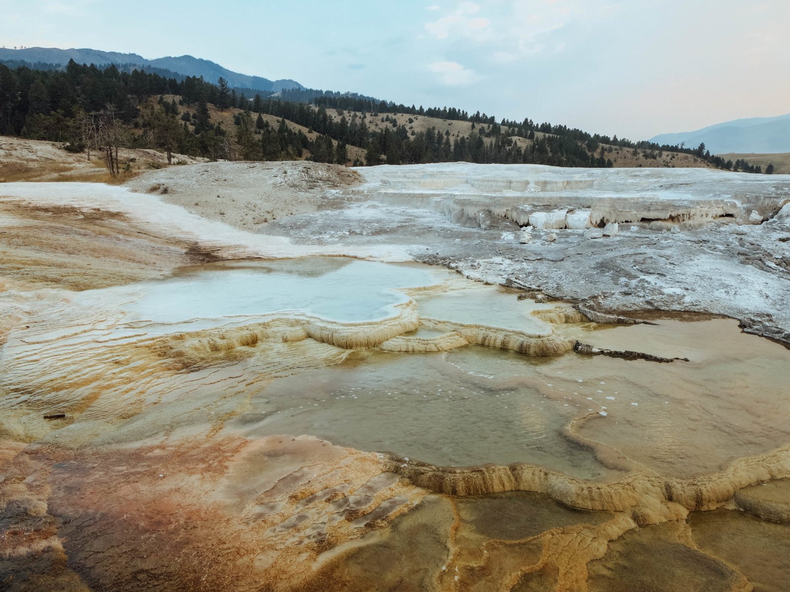 jana meerman yellowstone national park-7