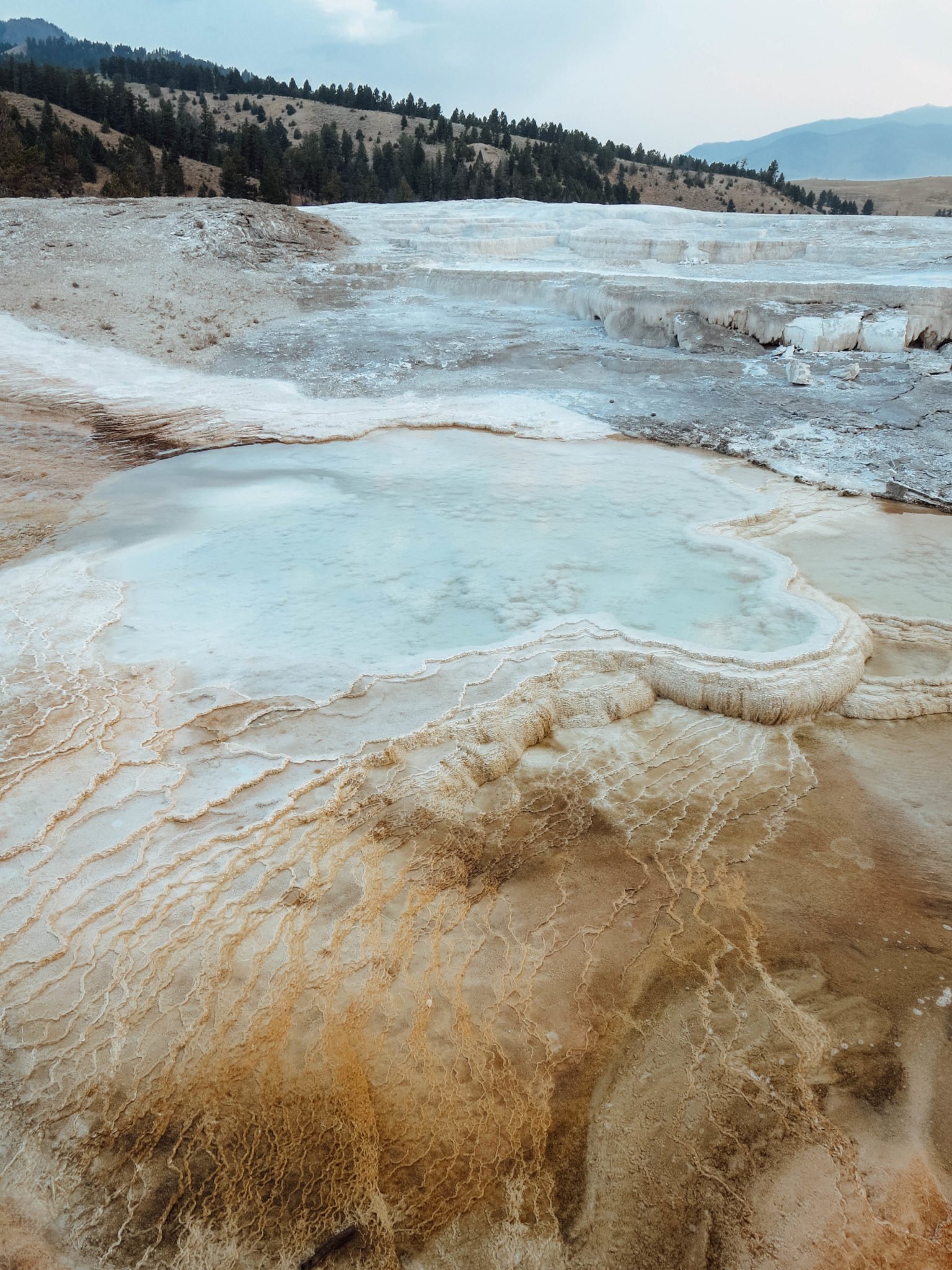 jana meerman yellowstone national park-7