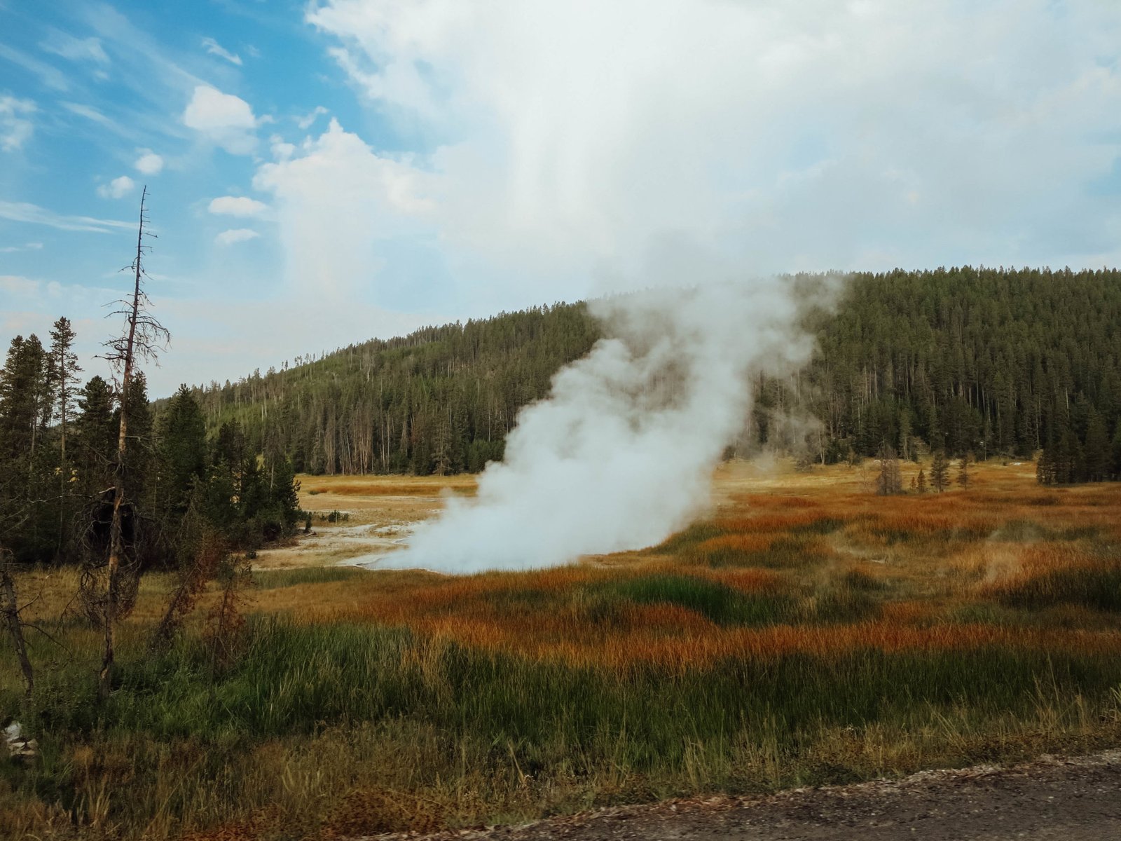 jana meerman yellowstone national park-22