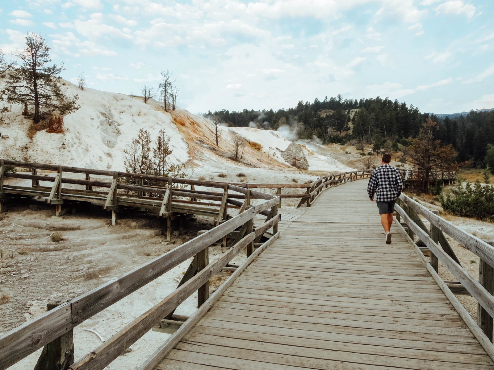 jana meerman yellowstone national park-7