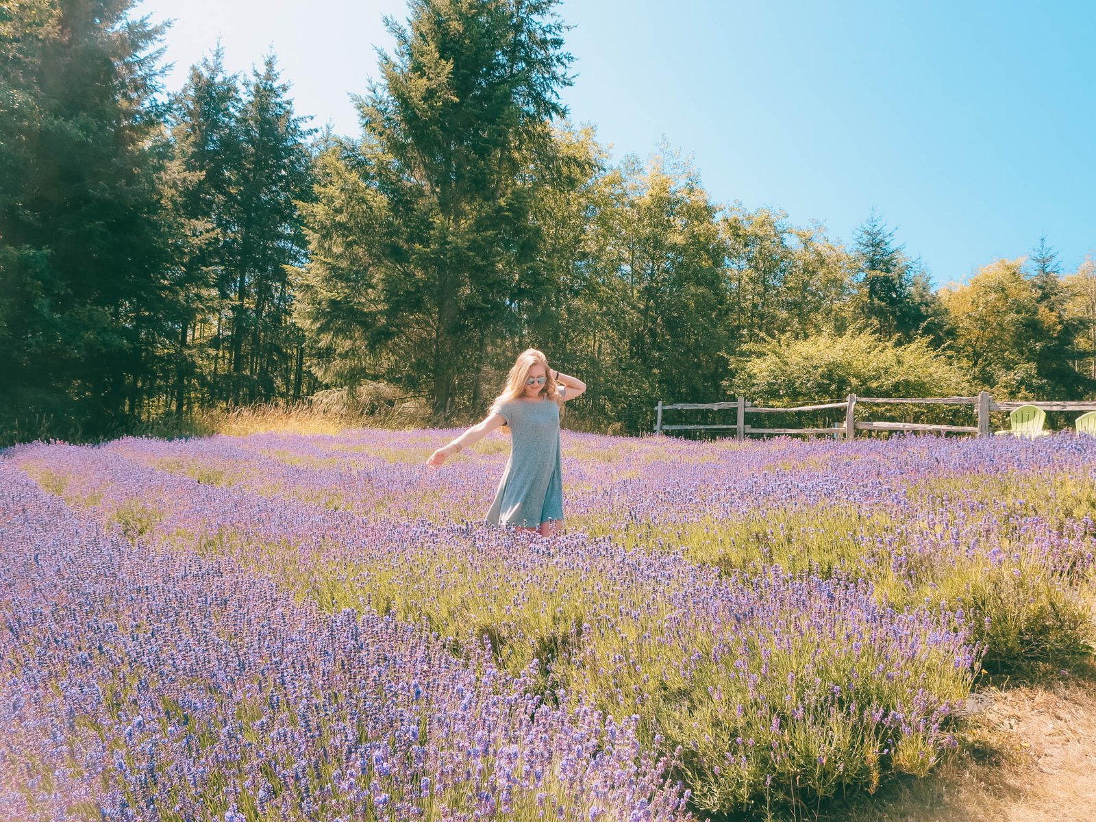 Visiting Sacred Mountain Lavender Farm on Salt Spring Island, BC | Jana  Meerman