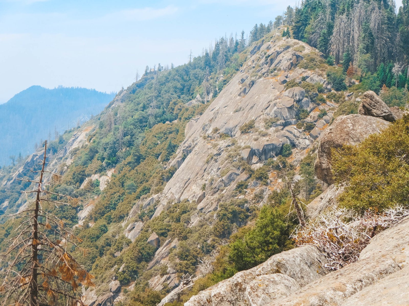 jana meerman sequoia kings canyon national parks-2