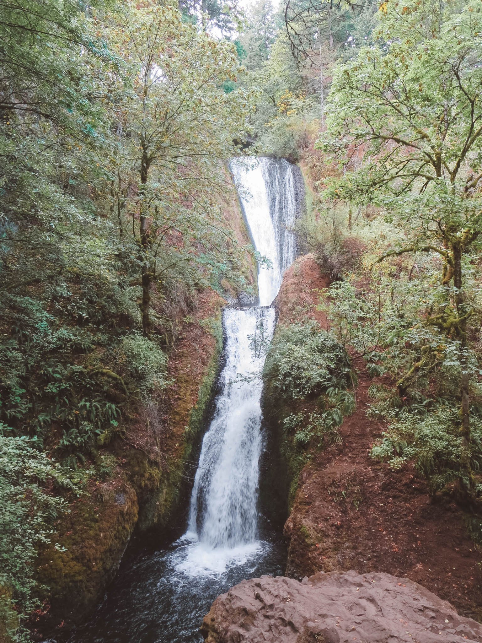 jana meerman columbia river gorge oregon-1