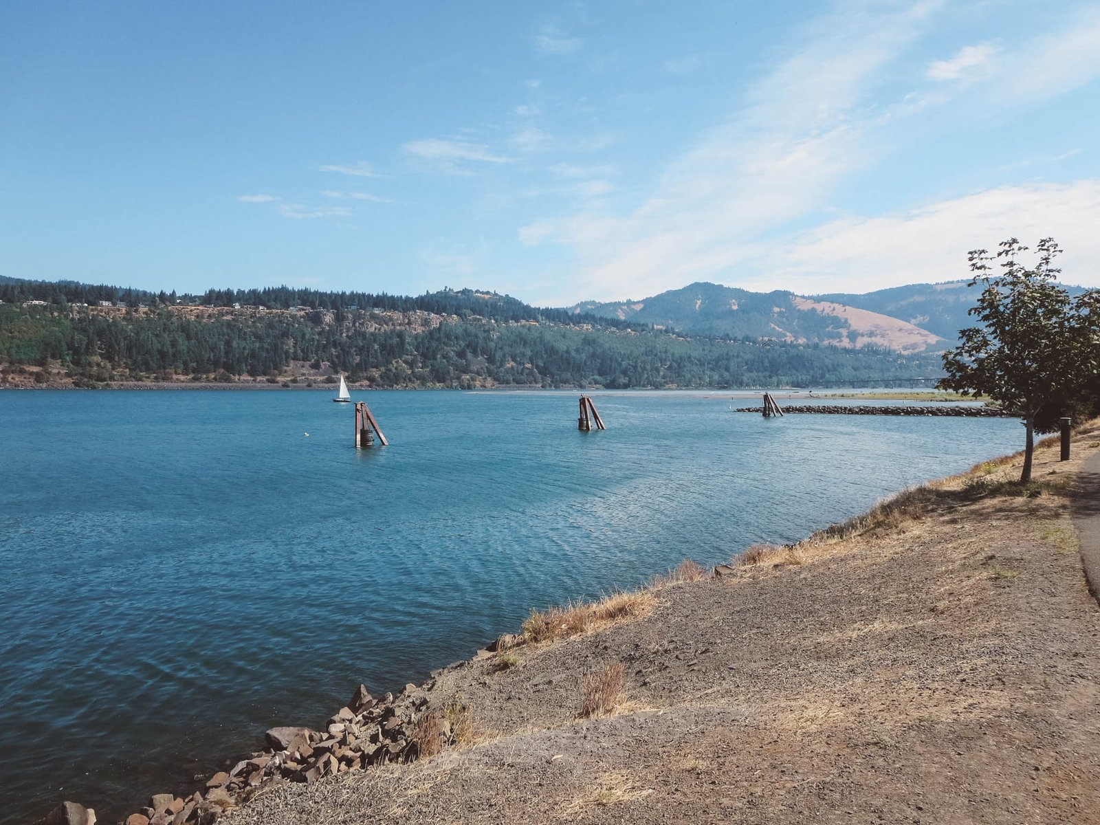 jana meerman columbia river gorge oregon-6