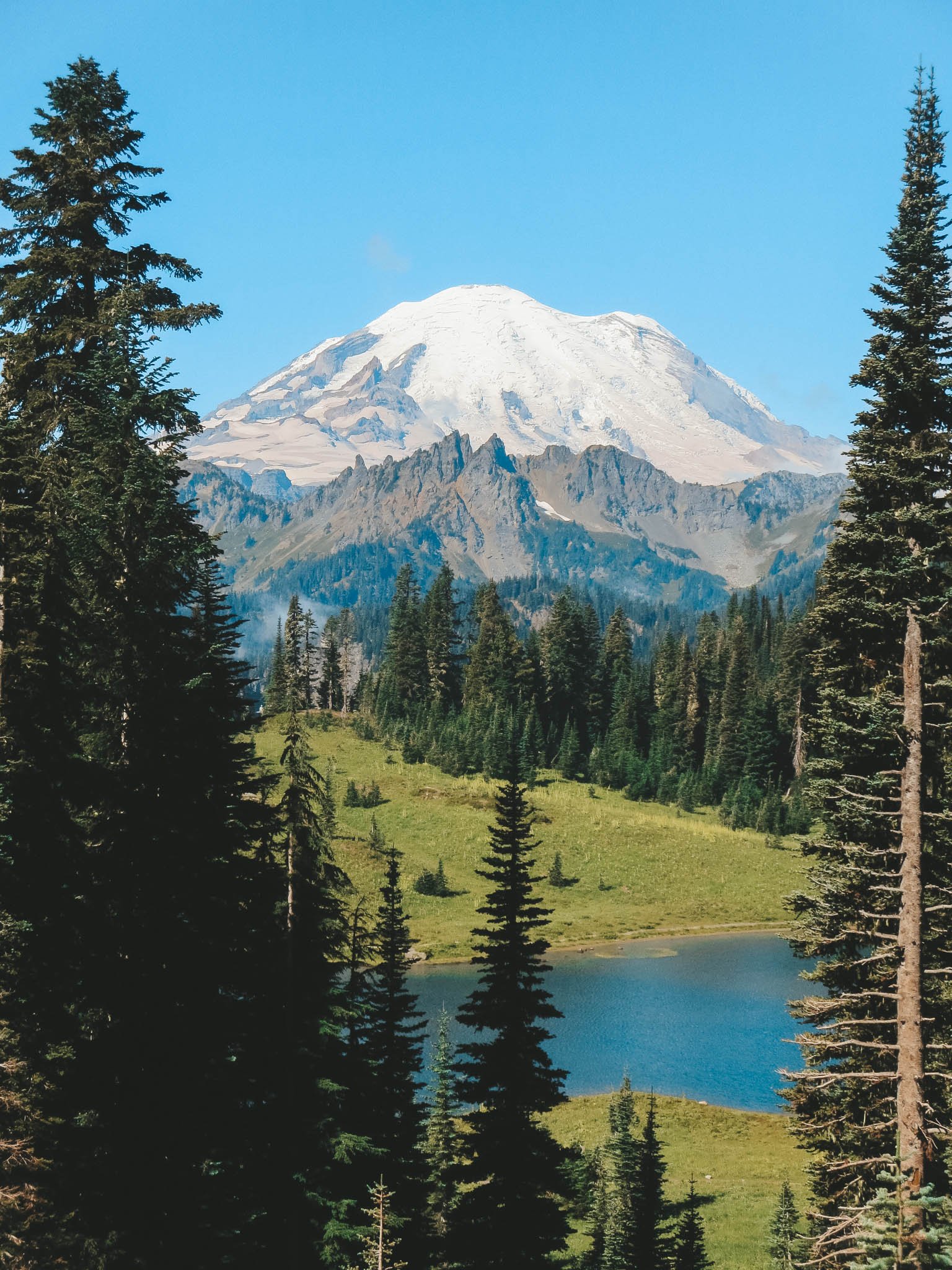 jana meerman mount rainier national park-1