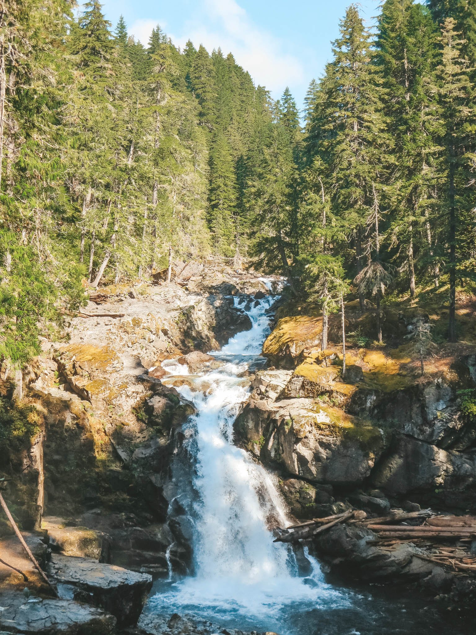 jana meerman mount rainier national park-1