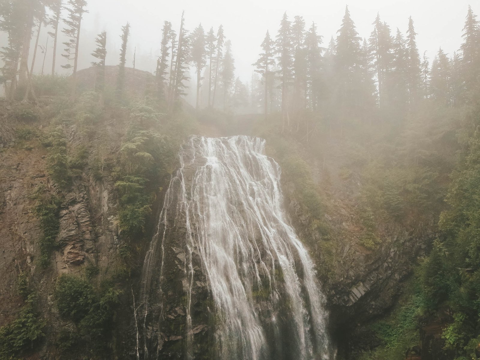 jana meerman mount rainier national park-1