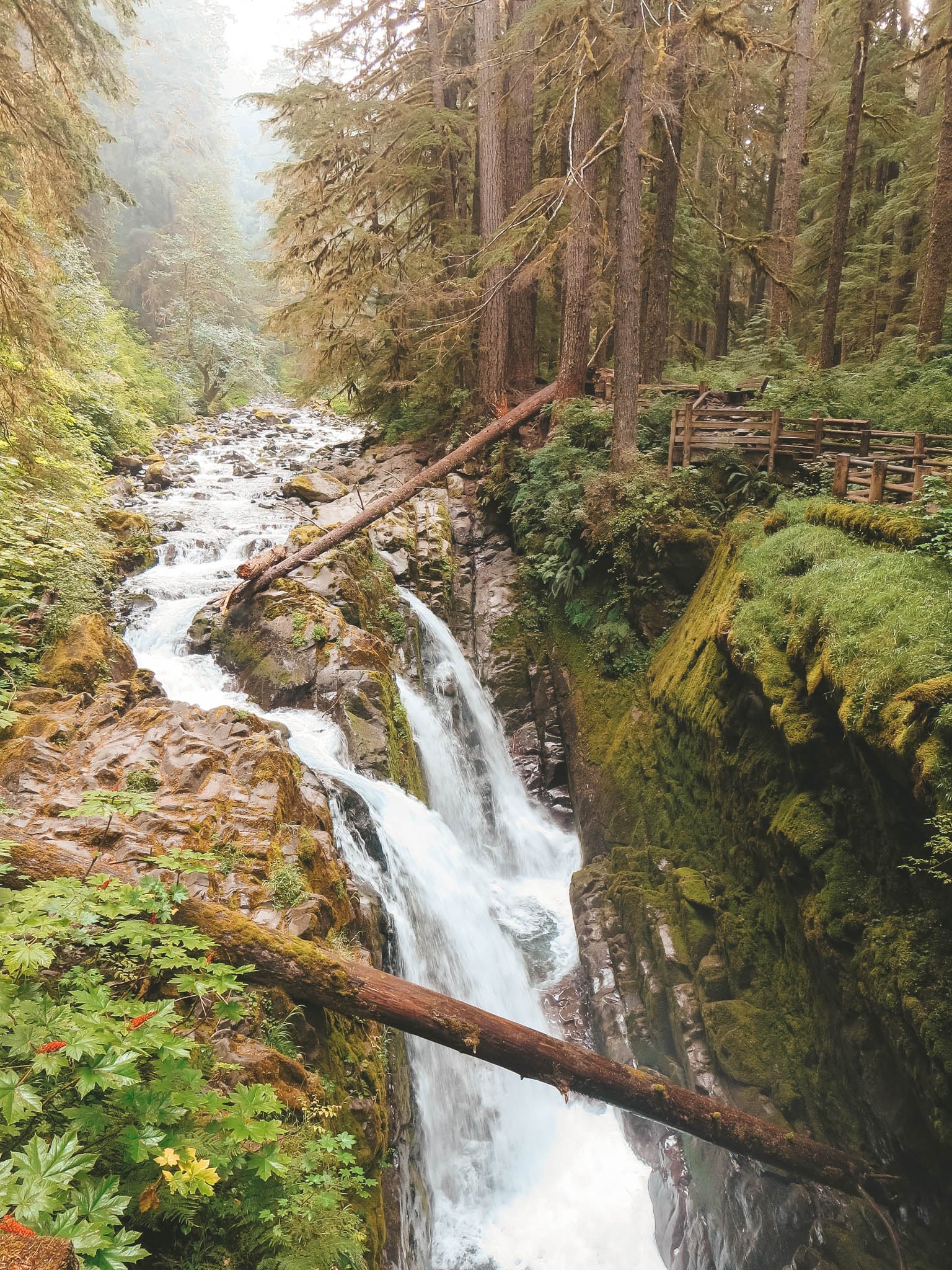 jana meerman olympic national park-1